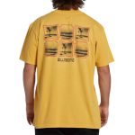 416549240_713168114215741_8694622190238026708_n