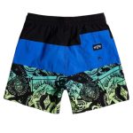 426513296_947138053494651_7075887334349536860_n