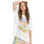 426163349_2332367296961149_7710215069869302018_n