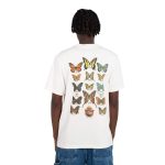 Element SBXE Butterflies
