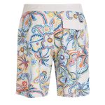 426195810_1558960191548545_4633358817434543203_n