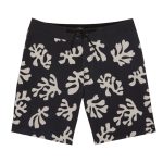 Billabong Horizon Pro