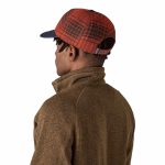 17a68fd9-b210-4e69-b724-cc893650ee33