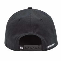 duotone_cap_panel_duotone_font