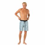 098661c3-777c-457b-ab5c-0ce4575fb6d2