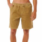 d1431401-d6c7-43ca-8cf0-f1f4130017a9