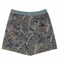 billabong_wasted_times_boardshorts