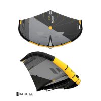 RRD EVOLUTION GOLD WING Y30