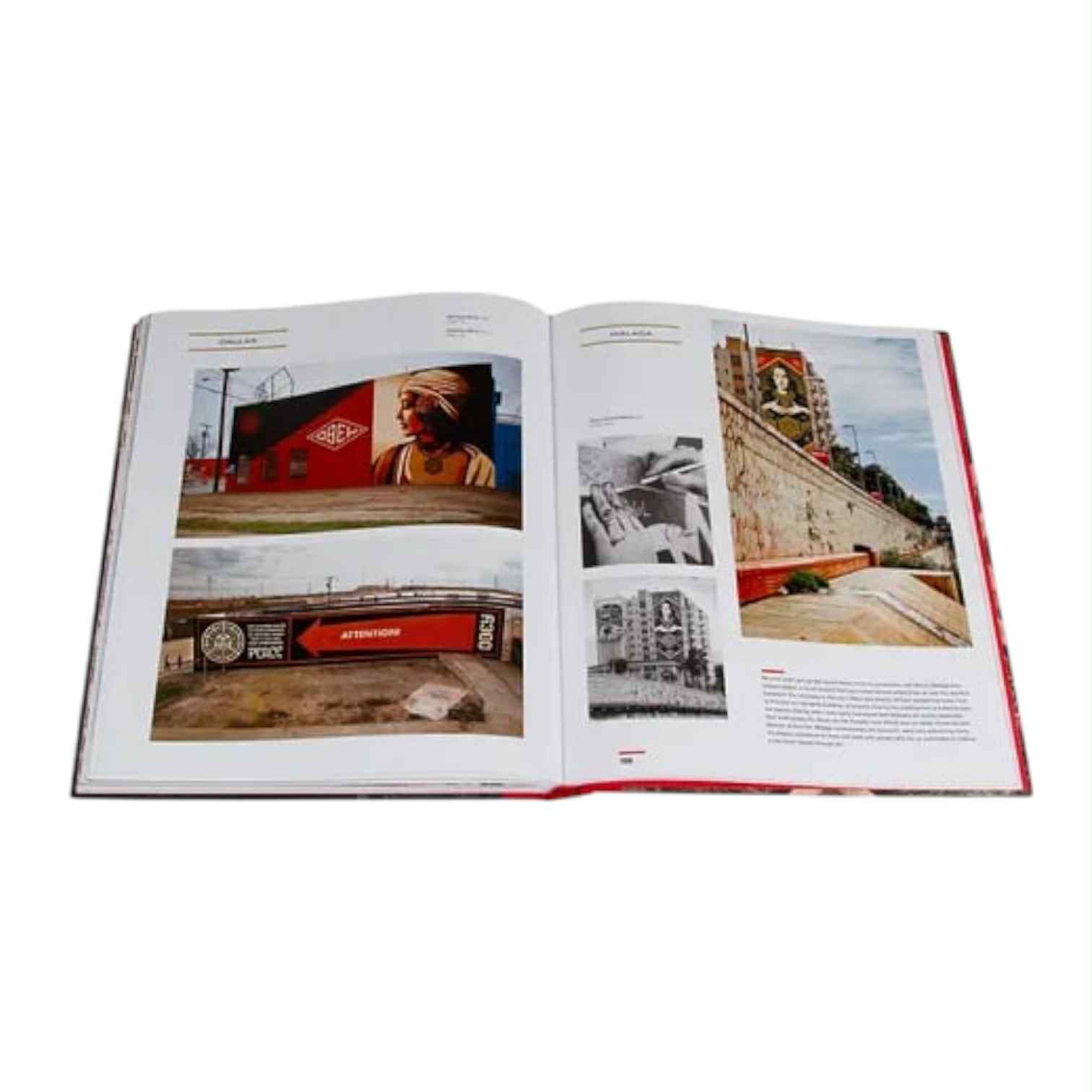 21b18dd8-a8da-4bc9-a197-7fa8b3f46d0c obey_covert_to_overt_book