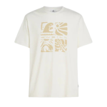 oneill-melange-front-print-tshirt