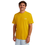 Senza titolo (900 x 900 px) – 2026-02-07T163133.777