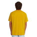 Senza titolo (900 x 900 px) – 2026-02-07T163133.777