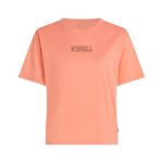 Senza titolo (900 x 900 px) – 2026-02-09T102858.141