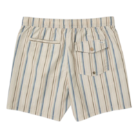 rvca-exotica-seersucker-elastic-17