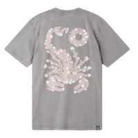 scorpion-bay-cactus-escorpion