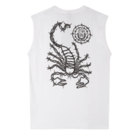 scorpion-bay-barbed-wire